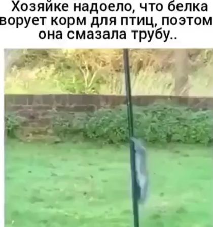 Какая же вредная эта хозяйка...⁠⁠
