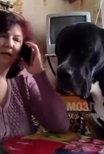 Как так, мы не возьмем Герду?