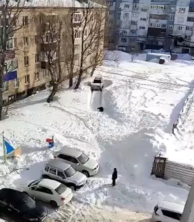 Пожалуй, не стоило и на газоне парковаться