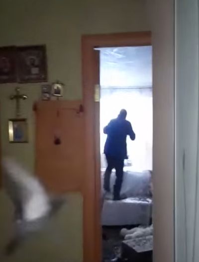 Забыли закрыть балкон. И уехали на полгода⁠⁠