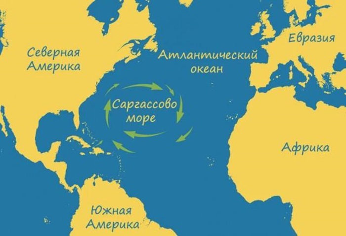 Зачем самое большое море на Земле не обладает берегами и почему люди предпочитают обходить его стороной?