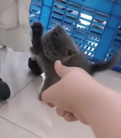 "Ты на кого батон крошишь?!"⁠⁠