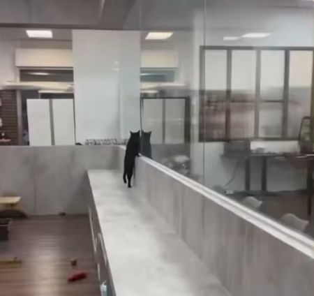 Прогулялся⁠⁠