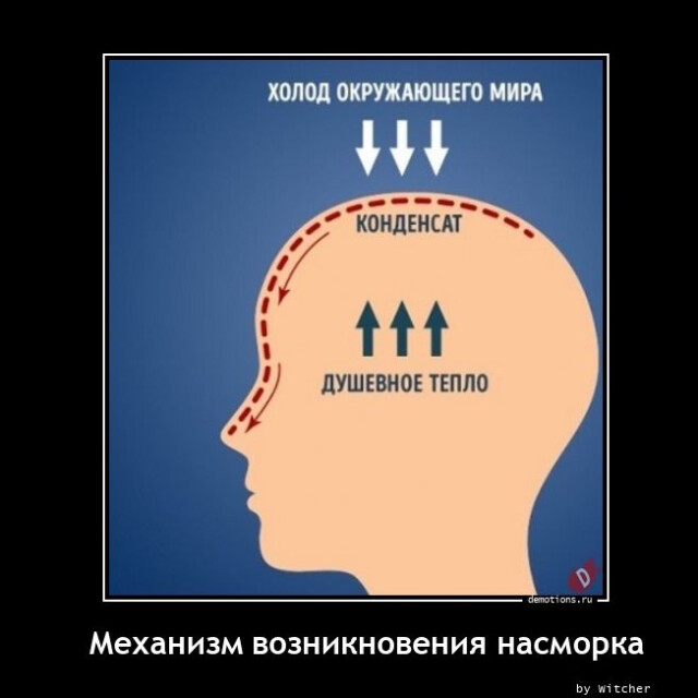 Картинки с надписями