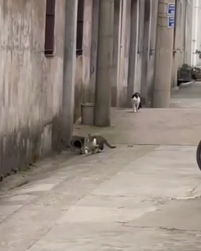 А что, так можно было?⁠⁠