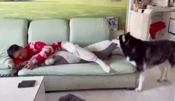 Так-то лучше!
