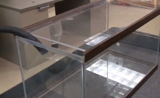 Магия вне Хогвартса запрещена?⁠⁠