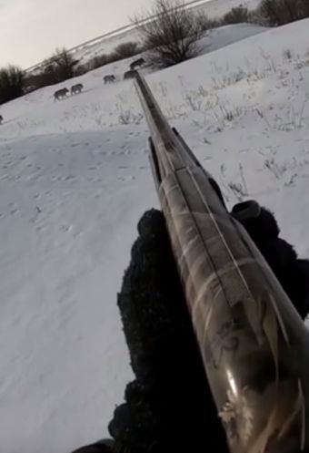 Охотник не всегда должен стрелять!