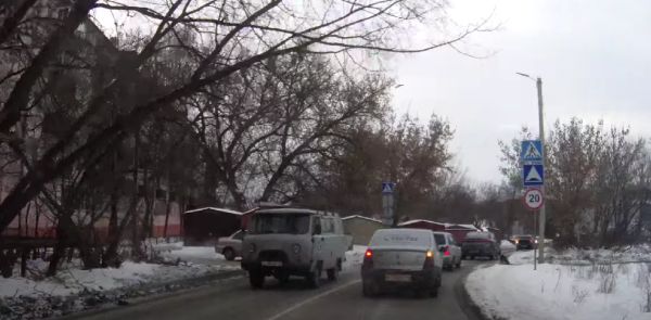 Собака переходит по пешеходу