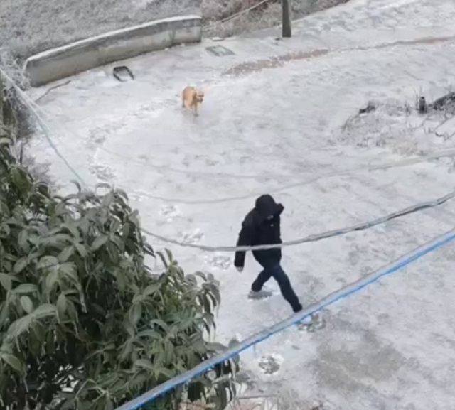 В период гололеда каждый отвечает сам за себя