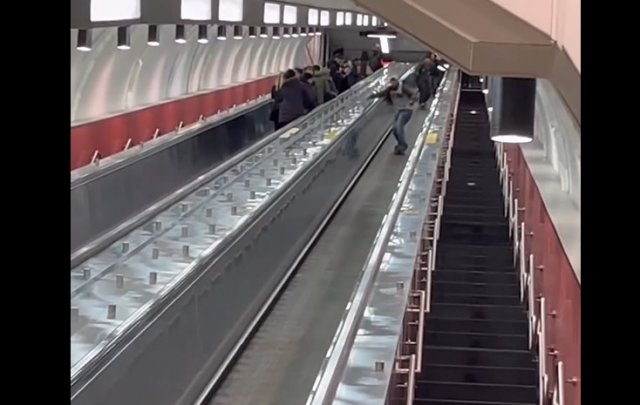Как выглядит настоящее безумство