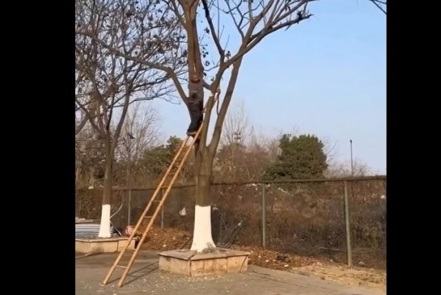 Когда все пошло немного не по плану