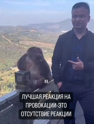 Как не поддаваться на провокацию⁠⁠