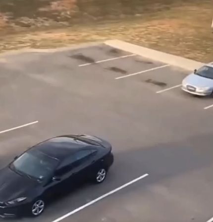 Безусловный рефлекс