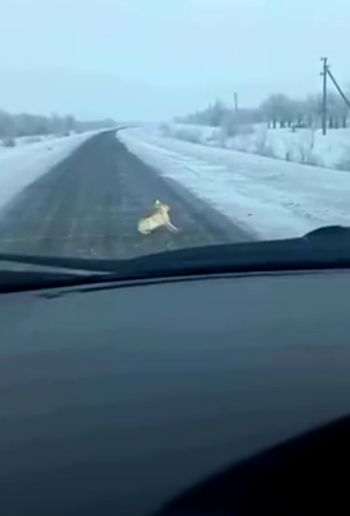 Наркоман проклятый