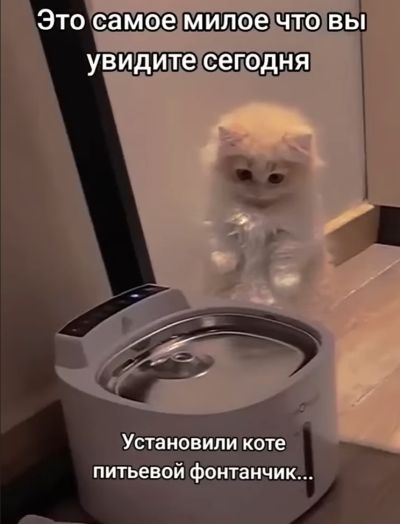 Милота⁠⁠