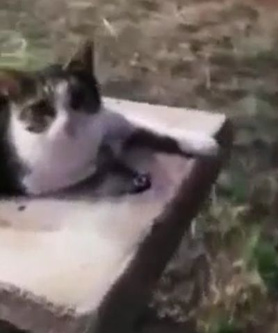 На кнопочку нажмите, пожалуйста⁠⁠