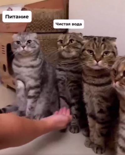 Когда решил перейти на ЗОЖ⁠⁠