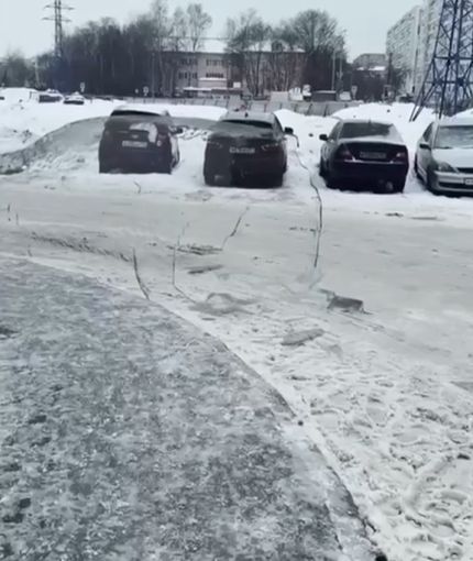Зимняя магия