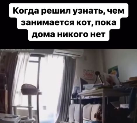 Вам что-то подсказать⁠⁠?