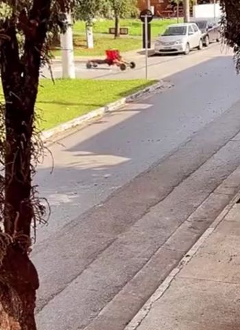 В Бразилии обнаружили босса всех курьеров