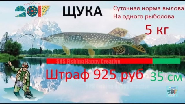 Поймал — отпусти! Какие новые штрафы ждут рыбаков любителей в 2024 году