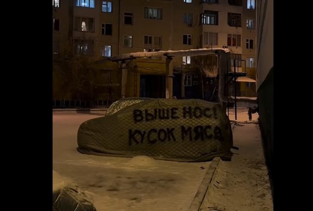 Зачем нужны такие чехлы на машины