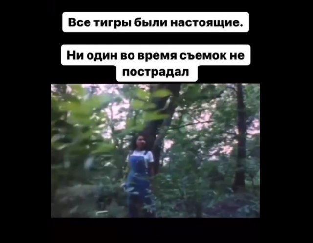 Страшный фильм с тиграми