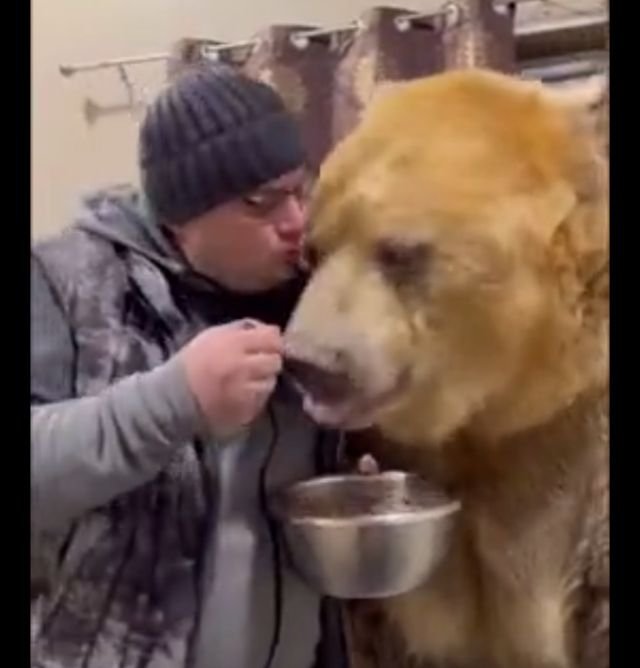 Мишка, обожающий овсянку