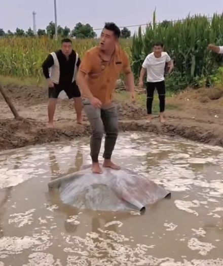 И конкурсы интересные⁠⁠