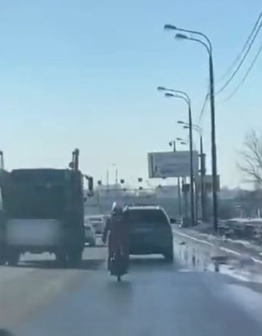 Выползают, радуются весне такие...