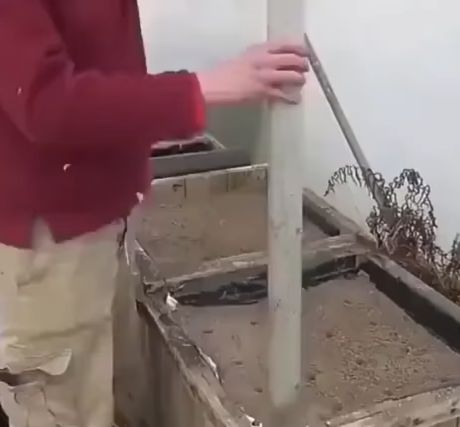 Современный метод выращивания моркови⁠⁠