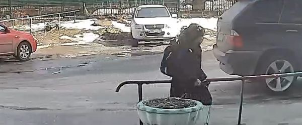 Паренёк из Курска