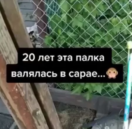 Всё гениальное просто. Лестница-палка⁠⁠
