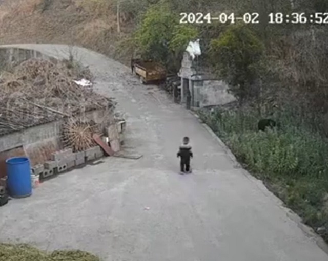Мальчик и его первый важный урок в жизни