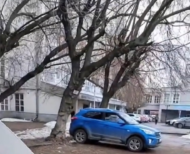 Так вот, что это за птичка