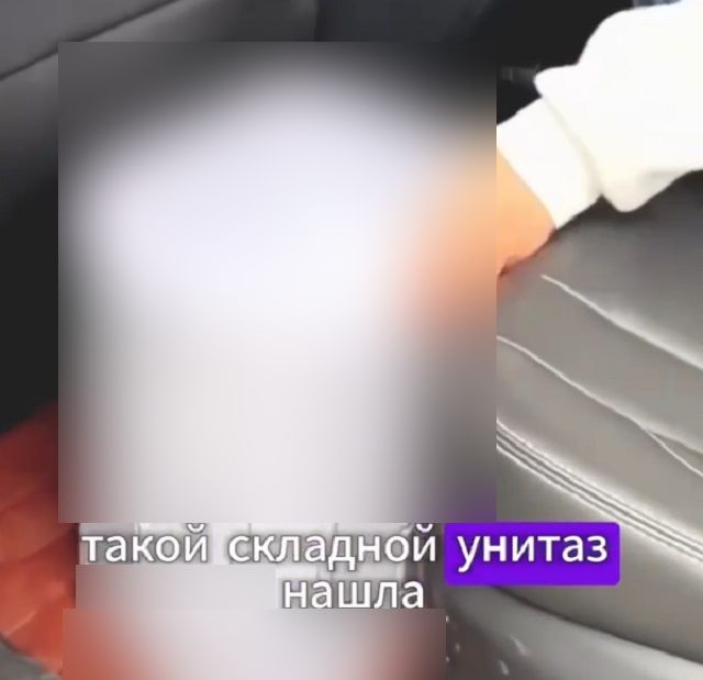 "Как мы жили до этого дня?": неотъемлемый предмет в каждом автомобиле - автомобильный туалет