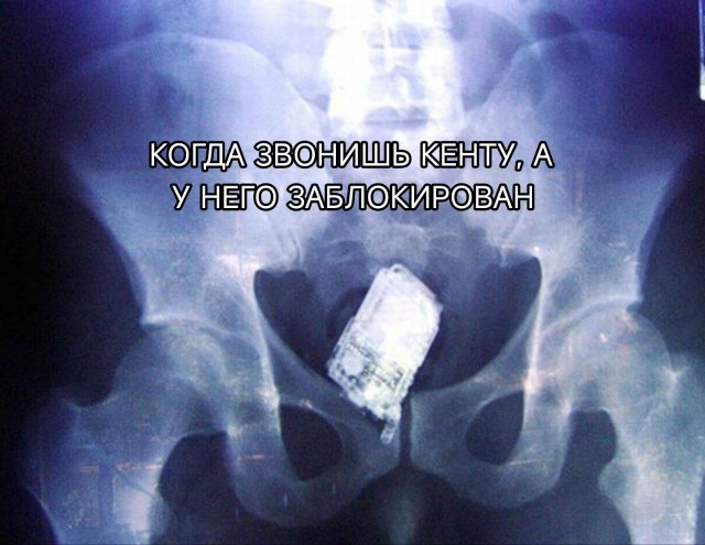 Питерский заключённый попытался пронести в колонию телефон — металлодетекторы его спалили