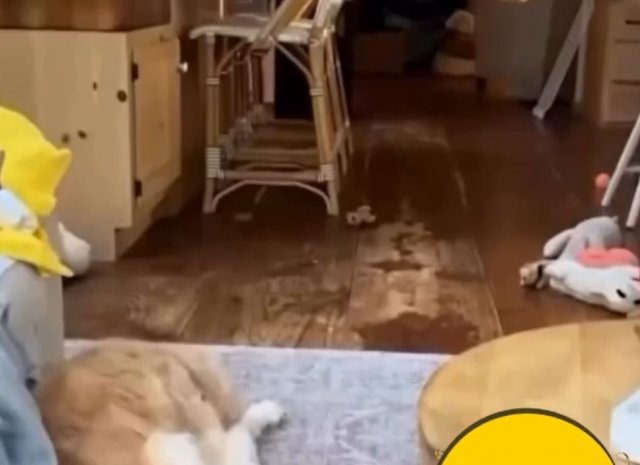 Мать быстро успокоила непослушного