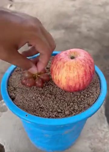 Пора! Скоро дачный сезон начинается