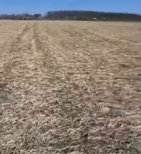 В Ростовской области часть поля провалилась в шахту
