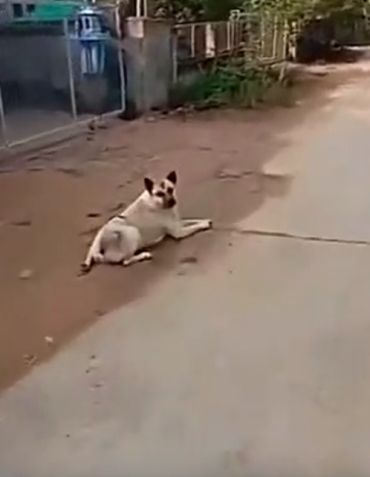Почему мужчины живут меньше
