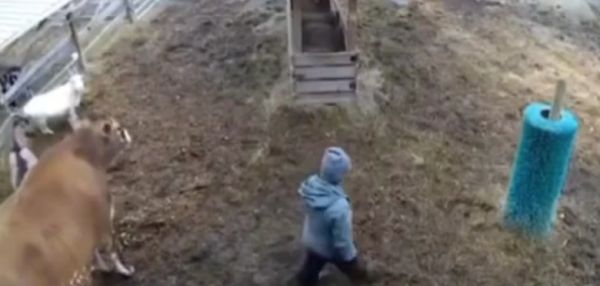 Друзья в беде не бросают