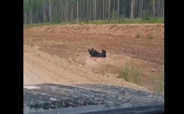 Чилл и расслабон
