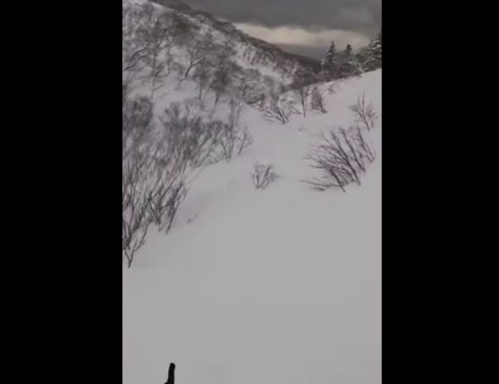 Ничего не предвещало