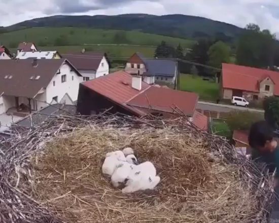 Человек с большим сердцем⁠⁠
