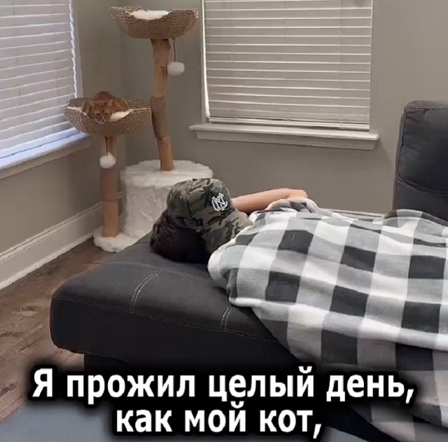 Молодой человек решил провести свой день в ритме своего питомца - кота