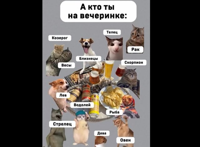 Твоя роль на вечеринке