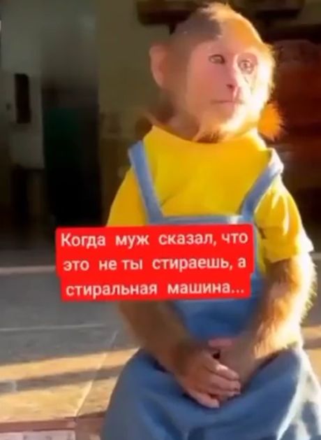 Обида обидная⁠⁠