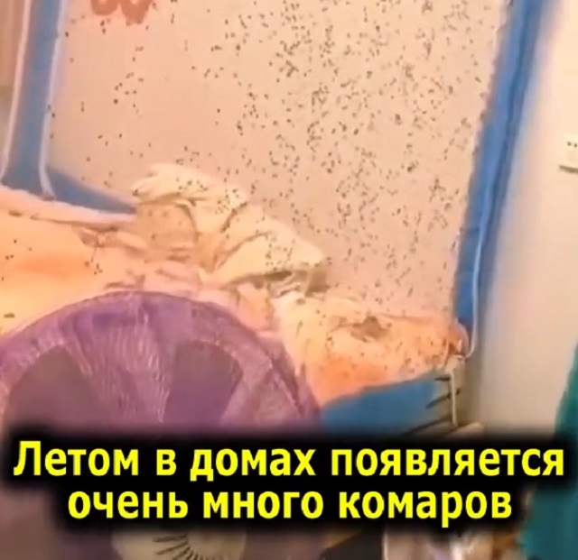 Абсолютное средство против комаров